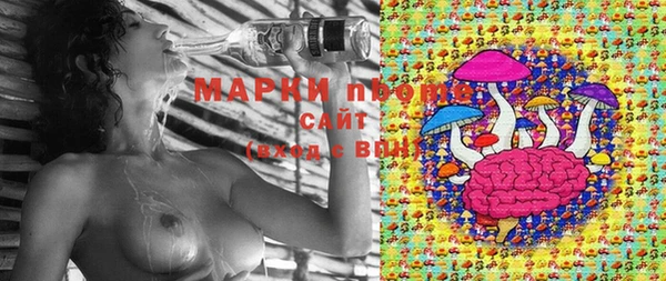 каннабис Арсеньев