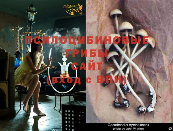 каннабис Арсеньев